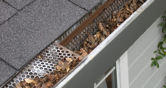 gutters need cleaning in the fall