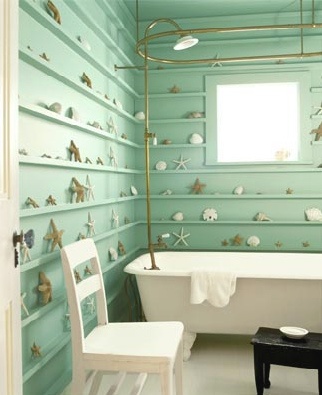 Seashell Shelves