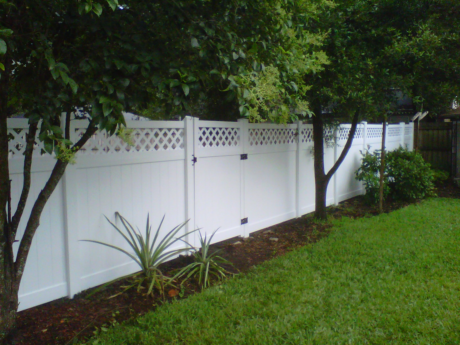 fence