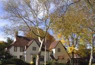 ThinkstockPhotos-179570631-190x130